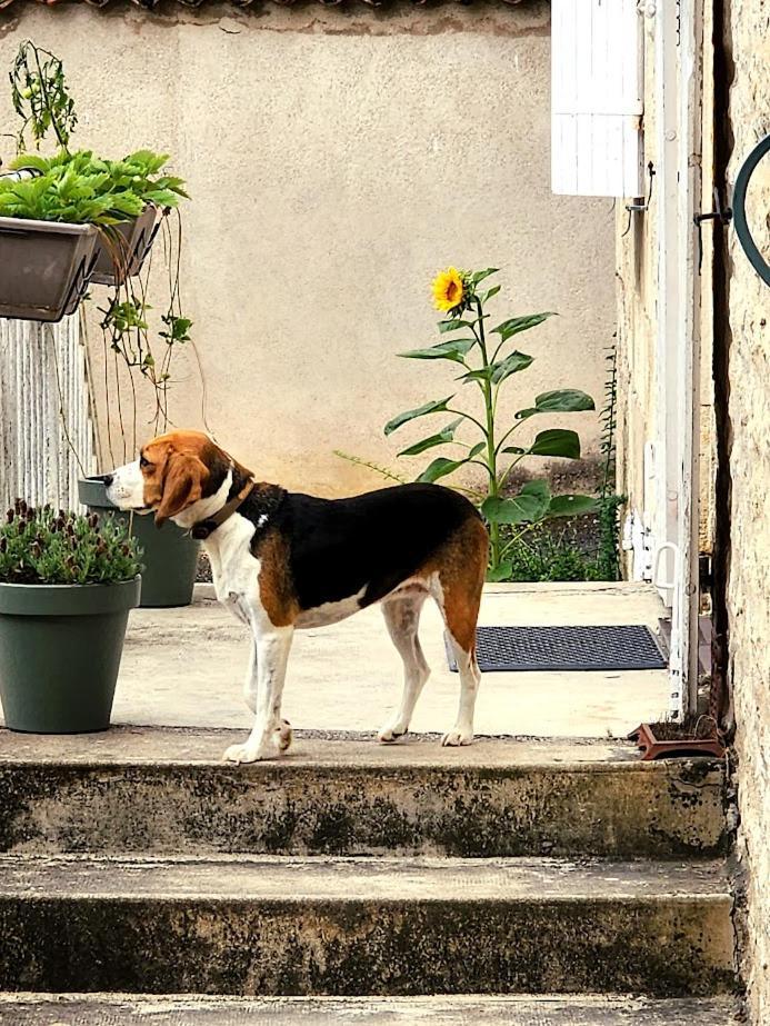 Gite Le Bonheur Hiersac Exterior foto